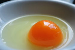 Don’t Do Away With the Yolk