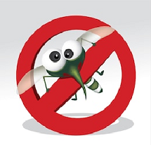 Avoid Pesky Pests with Natural Repellents