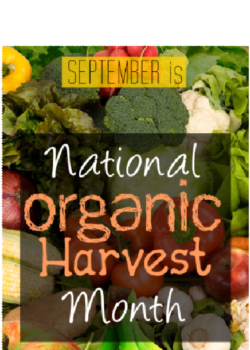 5 Ideas To Celebrate National Organic Harvest Month