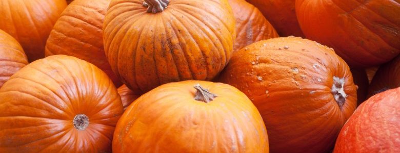 Top 5 Reasons To Eat More Pumpkins