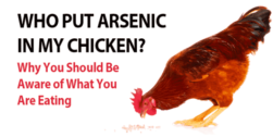 Chickens Are Eating Arsenic? Time to Buy Organic