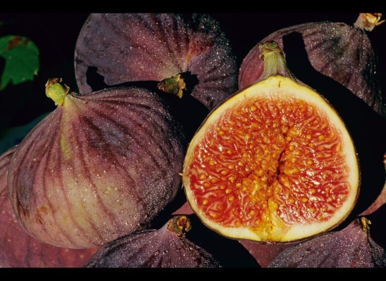Figs Can Satisfy Your Sweet Tooth