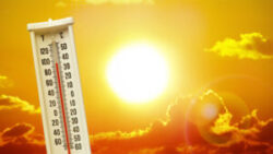 Extreme Heat Health & Safety Tips