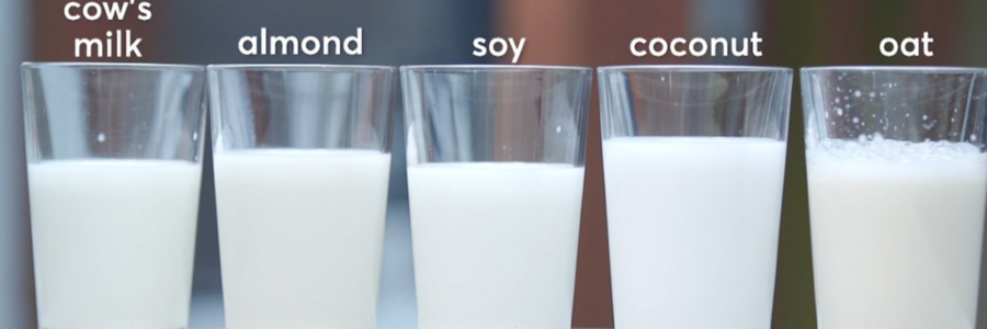 Which Milk Does the Body Good?