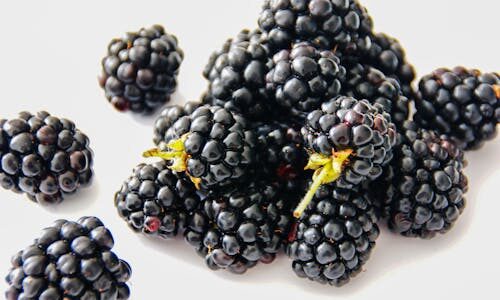 Late Summer’s Juicy Treasure: Blackberries