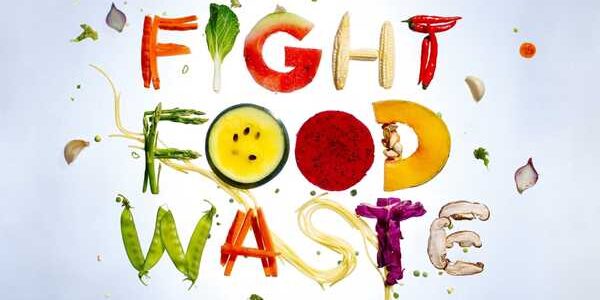 How You Can Reduce Food Waste