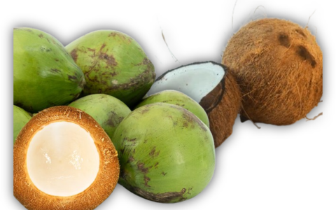 Coconuts — More Than Just a Vacation Flavor
