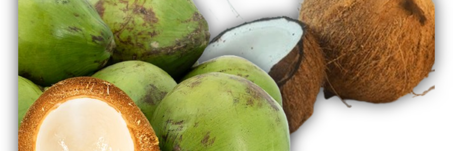 Coconuts — More Than Just a Vacation Flavor